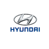 partner logo hyundai opkoper